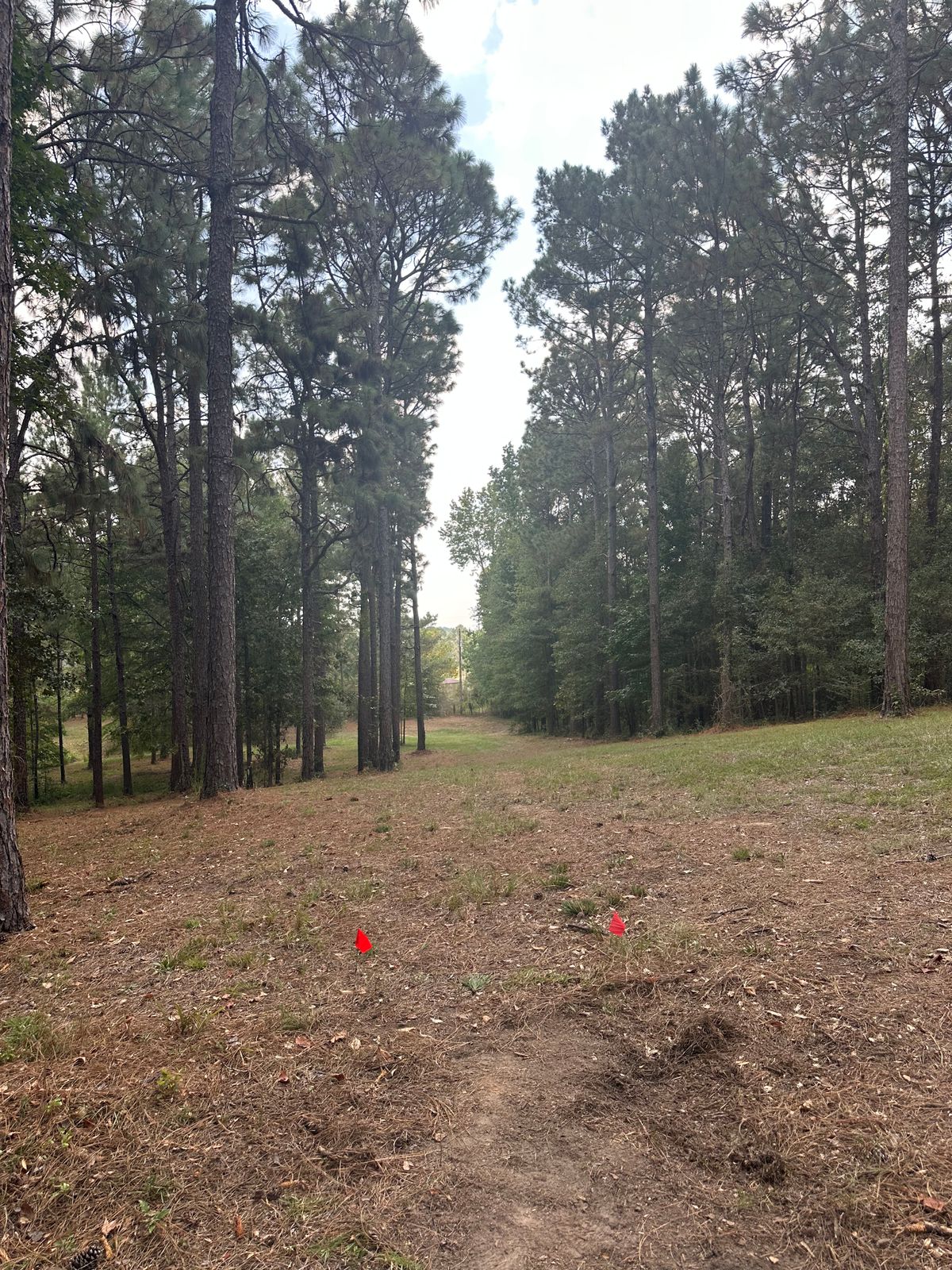 Hole 1/10
