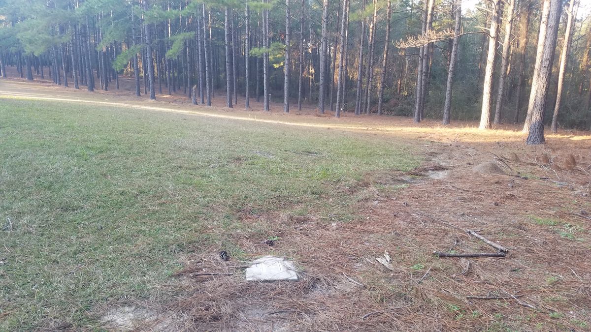 Hole 14
