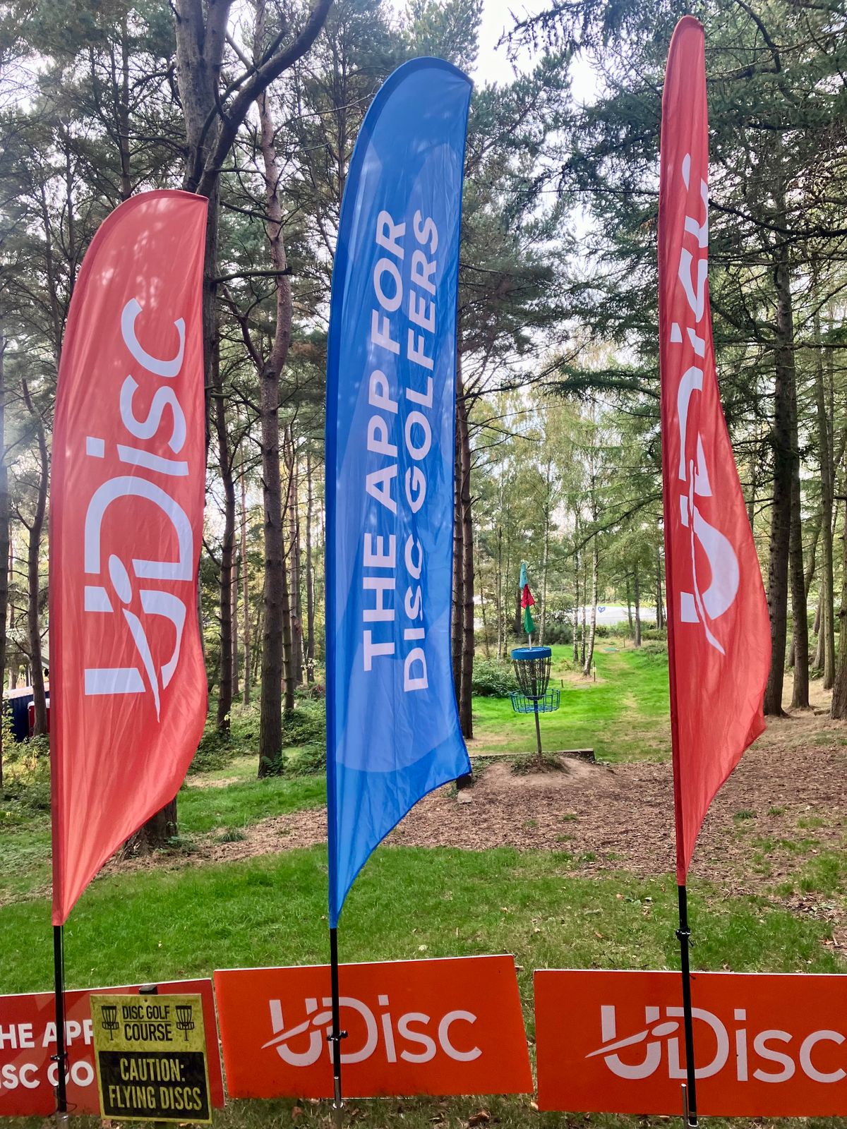 Tournament setup