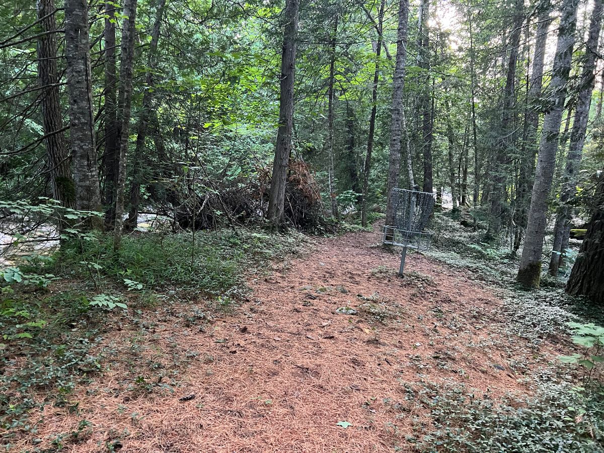 Hole 2 basket