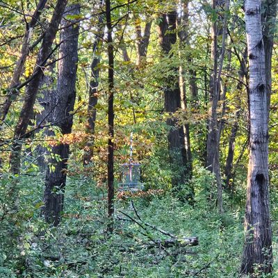 Hole 3 basket