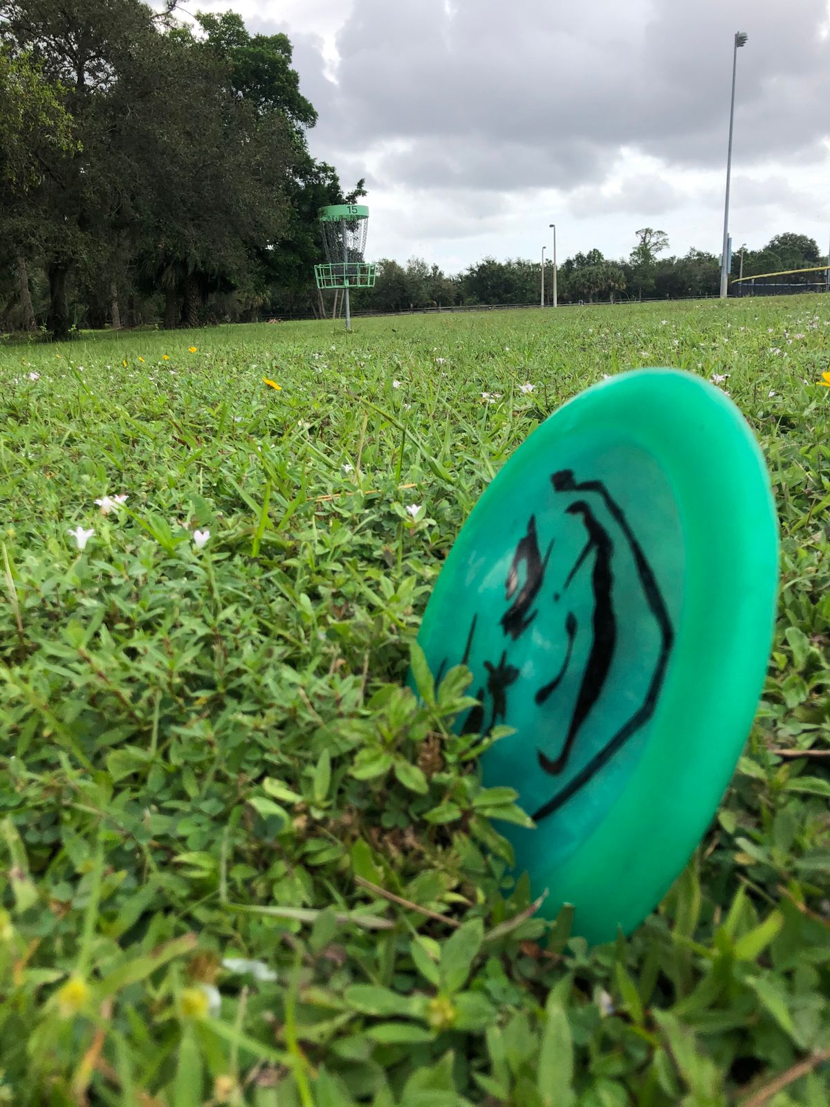 Soggy ground