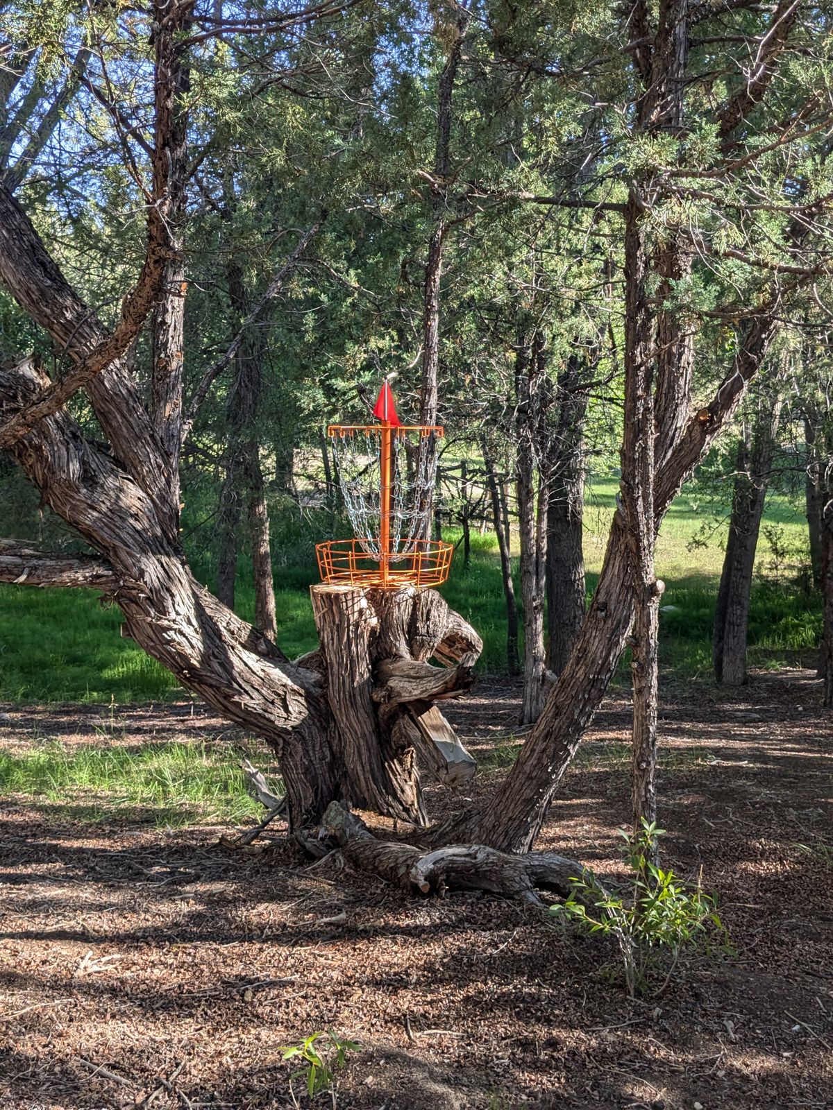 Hole 7