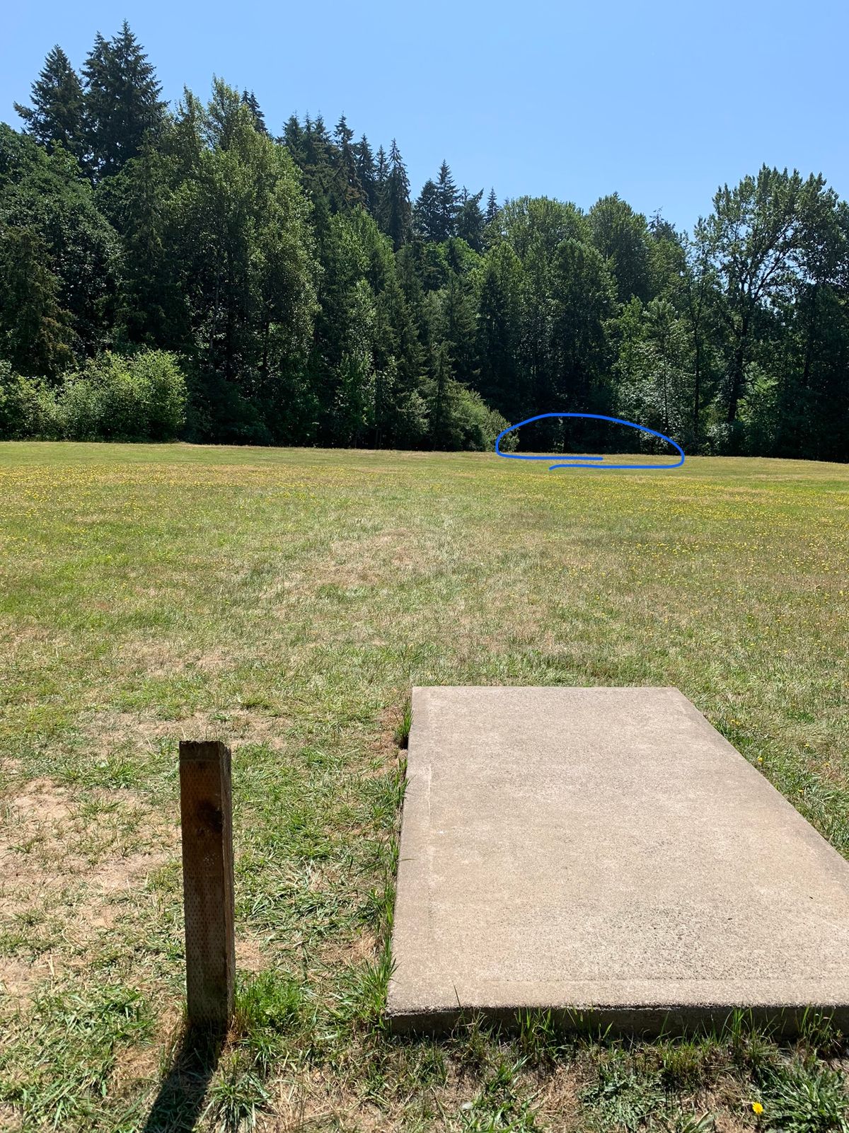 Hole 4 is somewhere in this area.