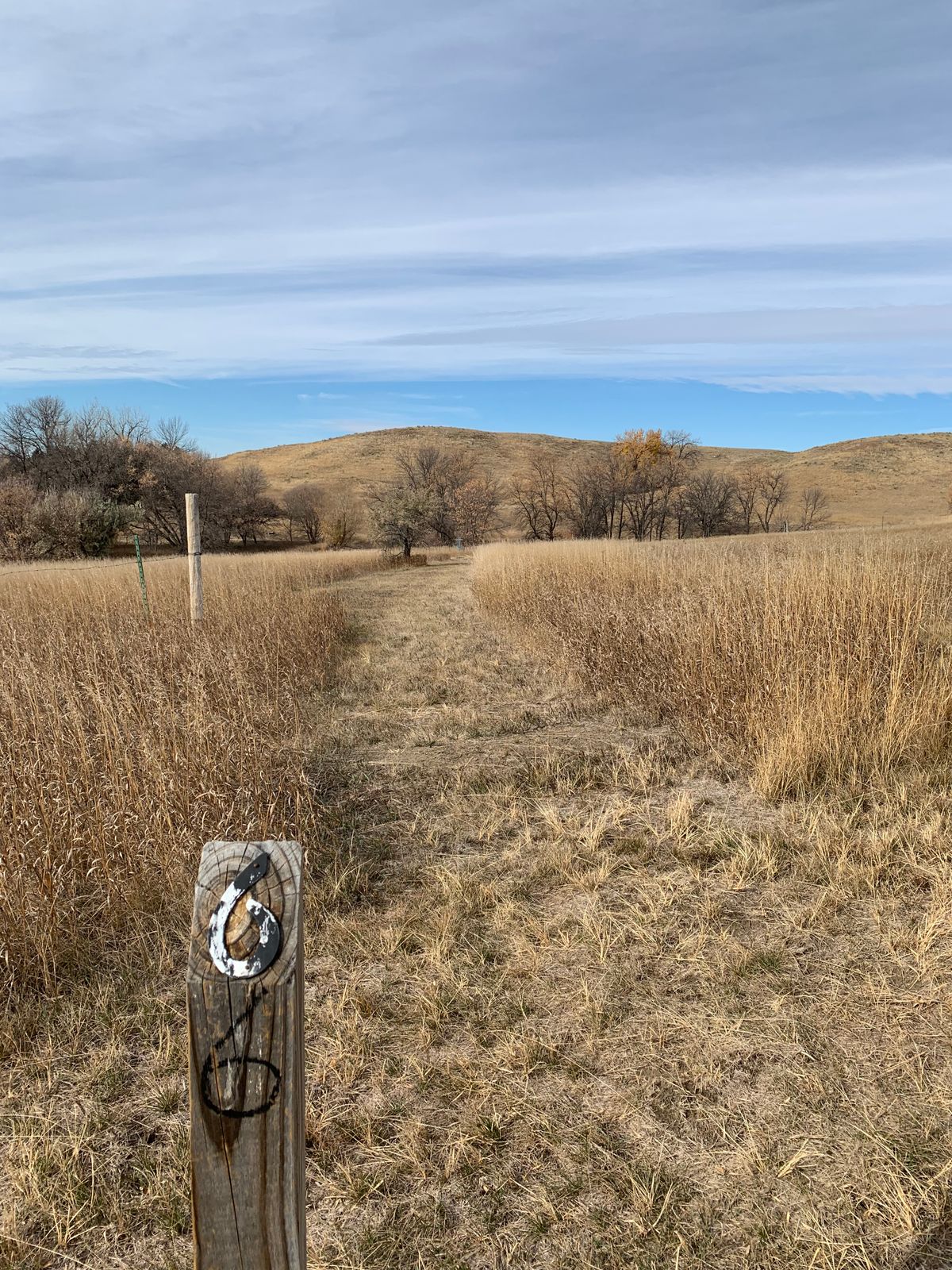 Hole 6