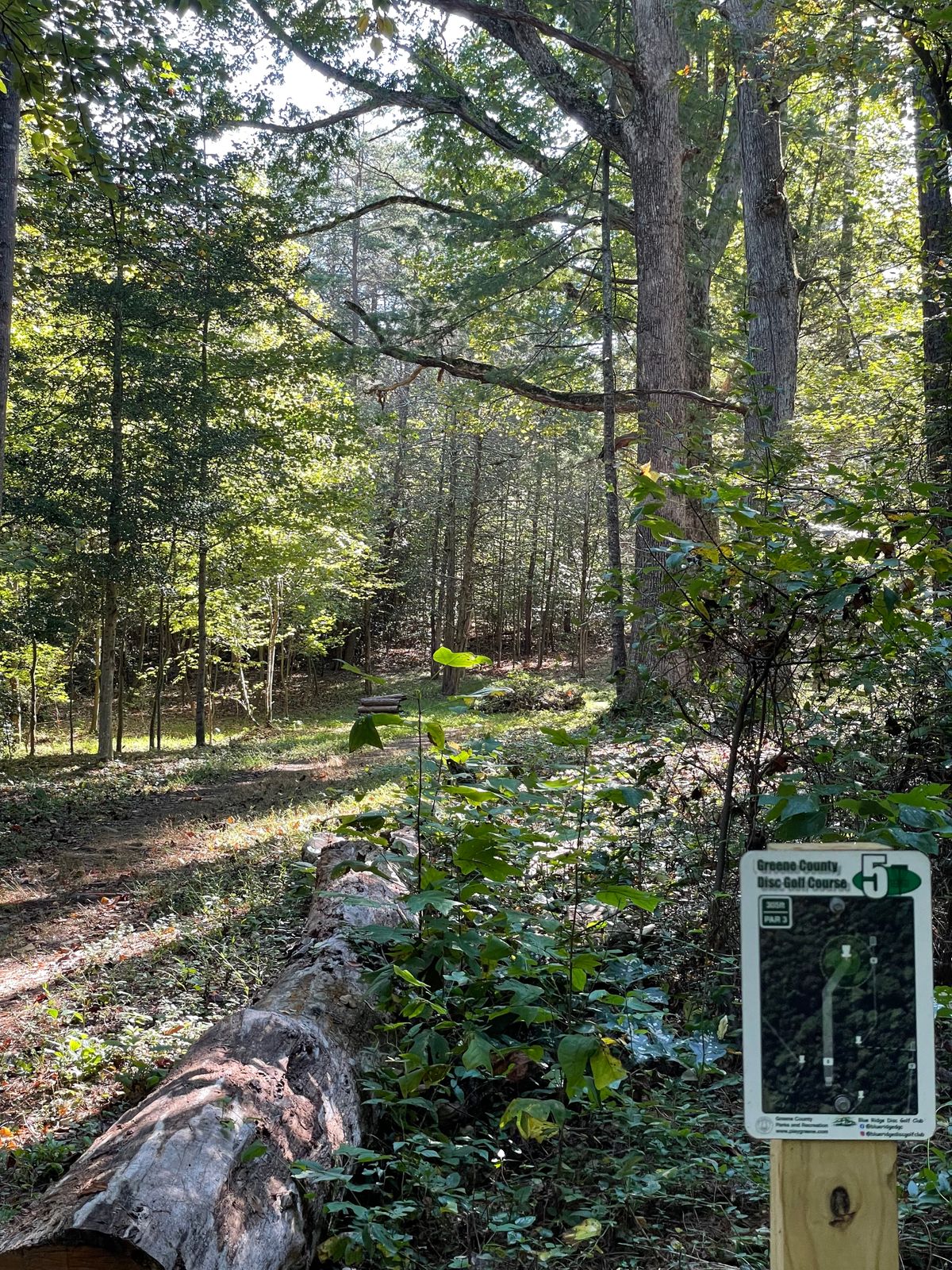 Hole 5