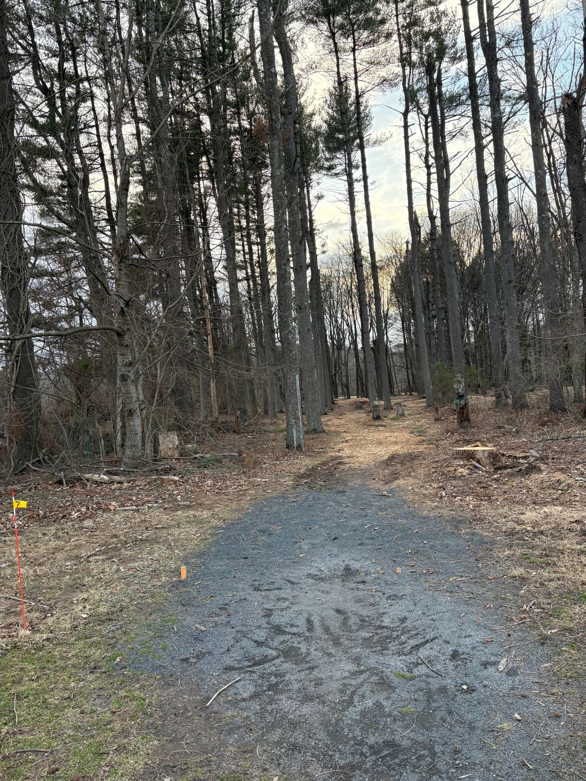 Proposed hole 7 shares a tee pad with the gravel pit.