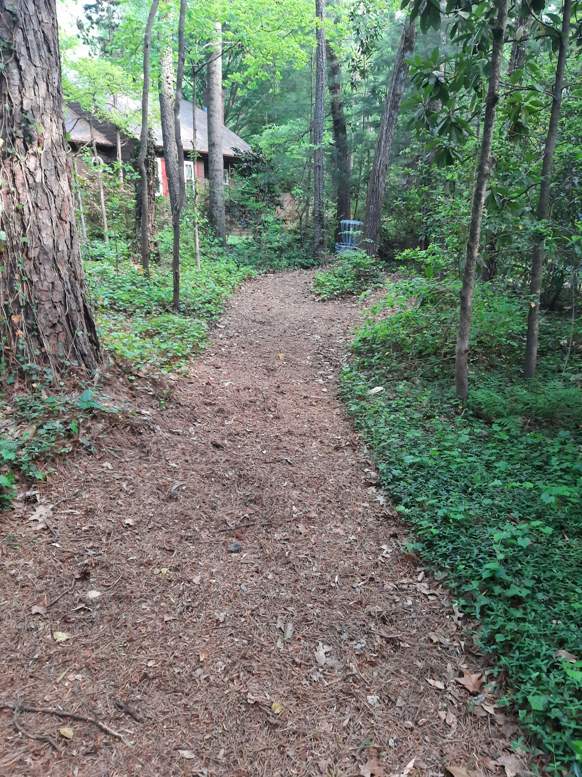 Hole 2 Red Tee