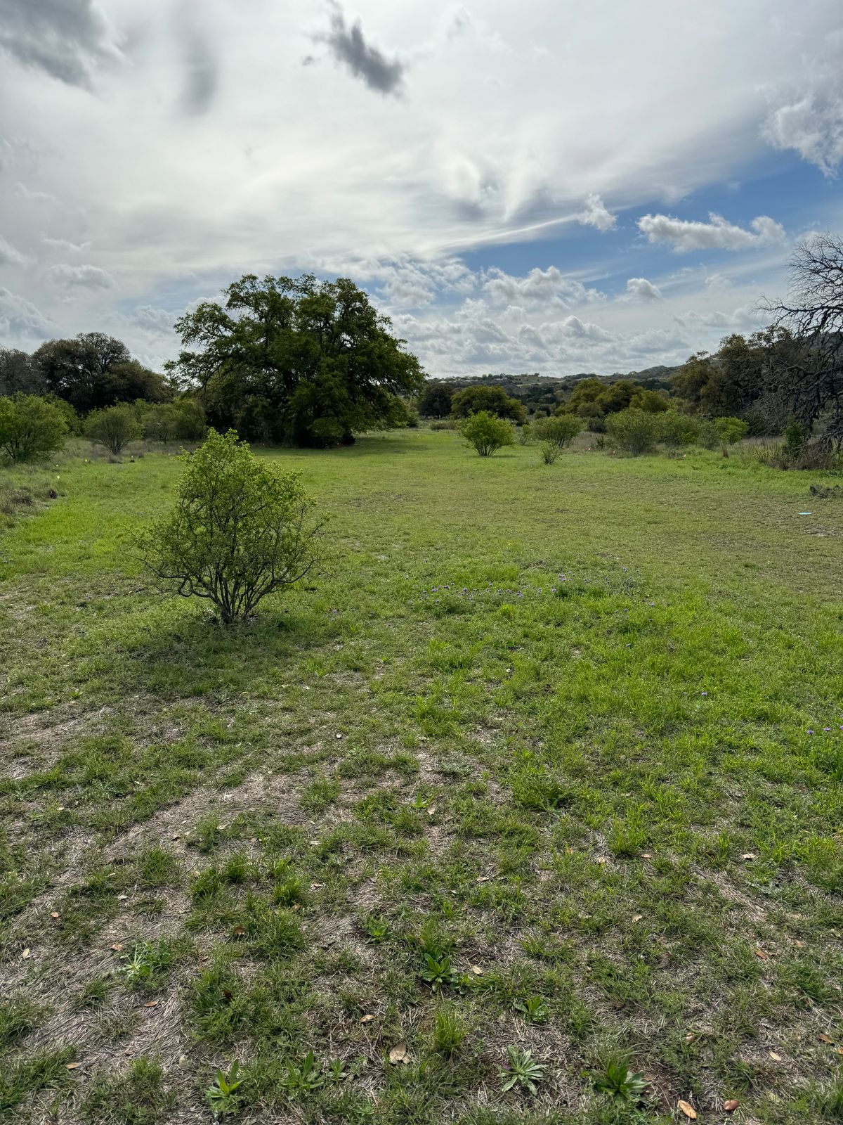 Fairway