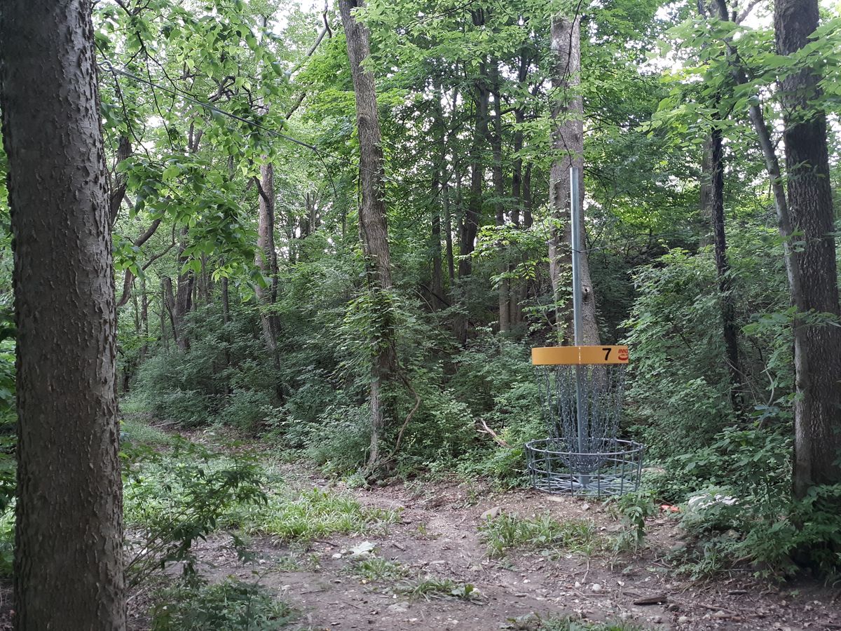 Hanging basket on hole 7