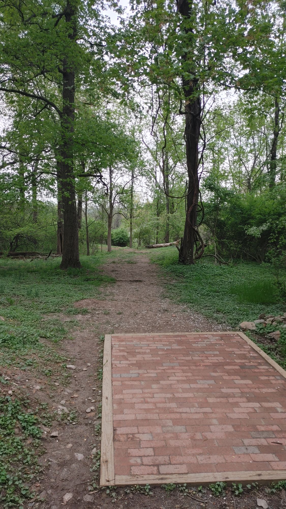 Hole 12