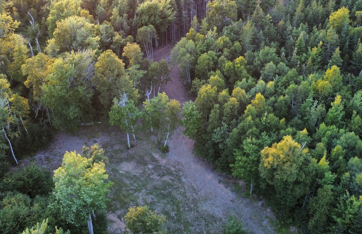 Hole 7 - overhead view of approach. See basket near top of image.