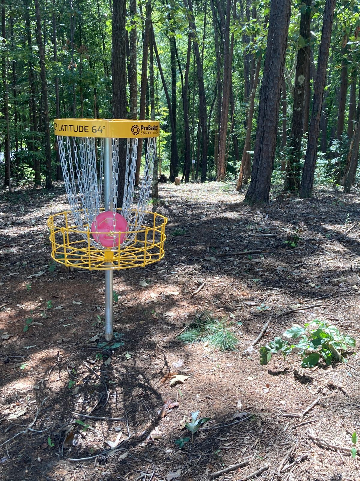 Hole #8: Looking downhill toward the tee
