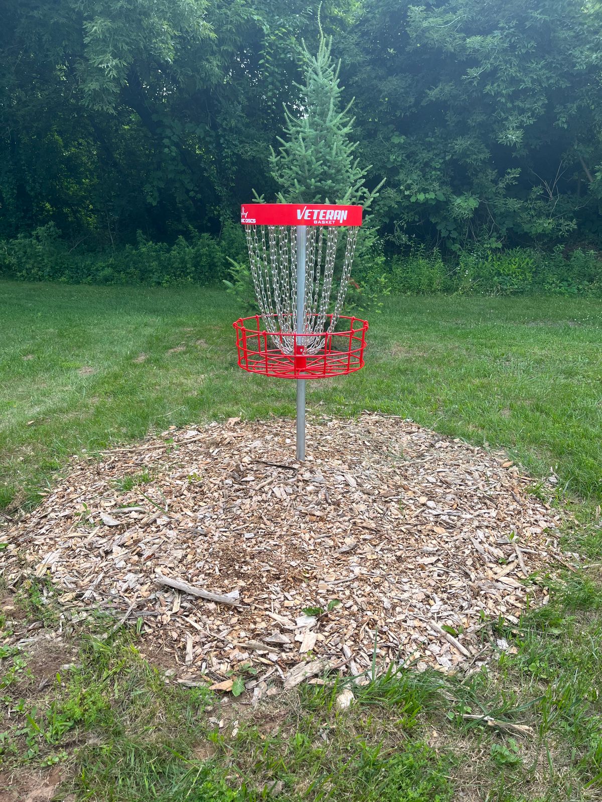 Hole #3 Basket