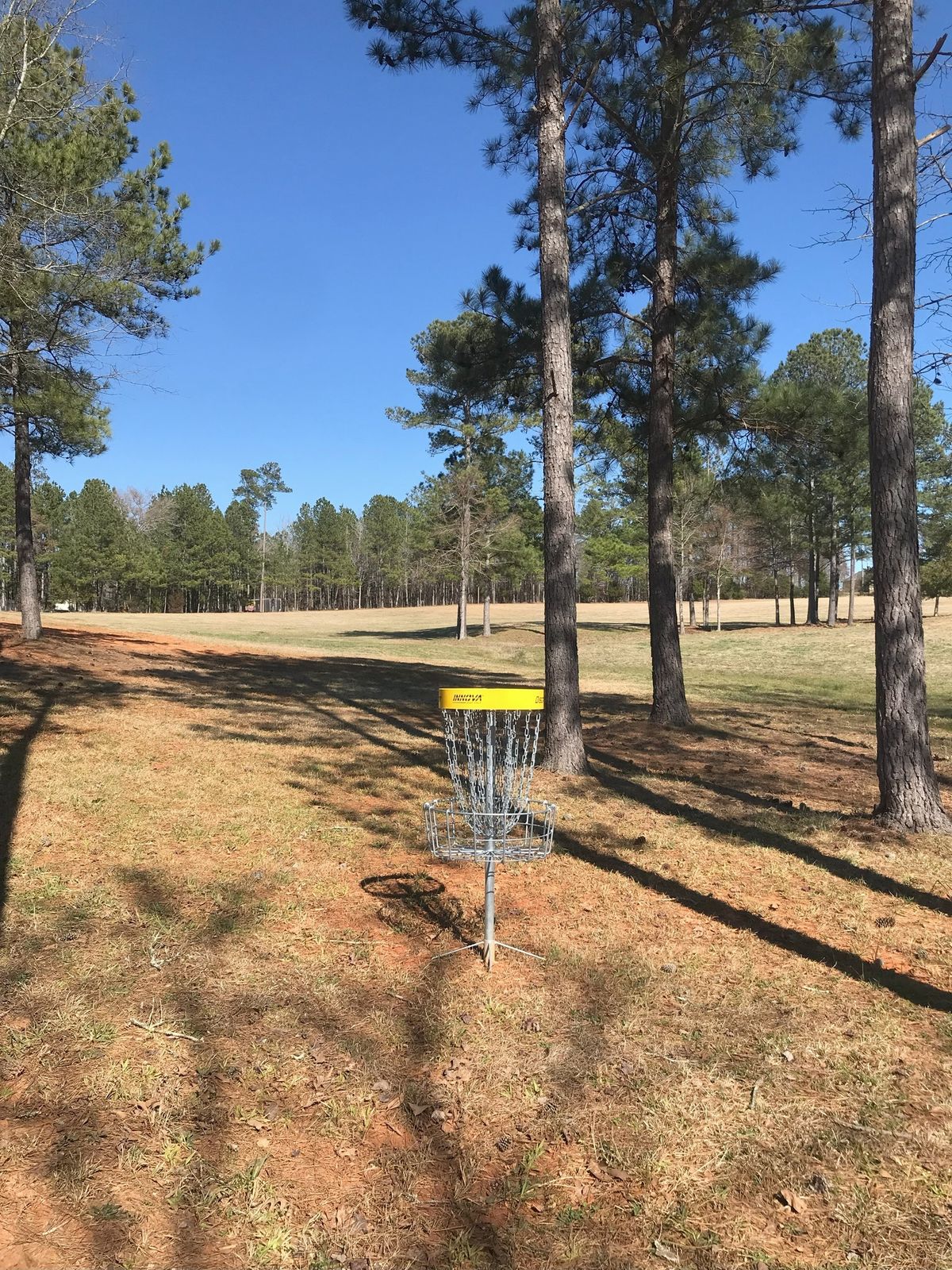 Hole 18 - basket to tee