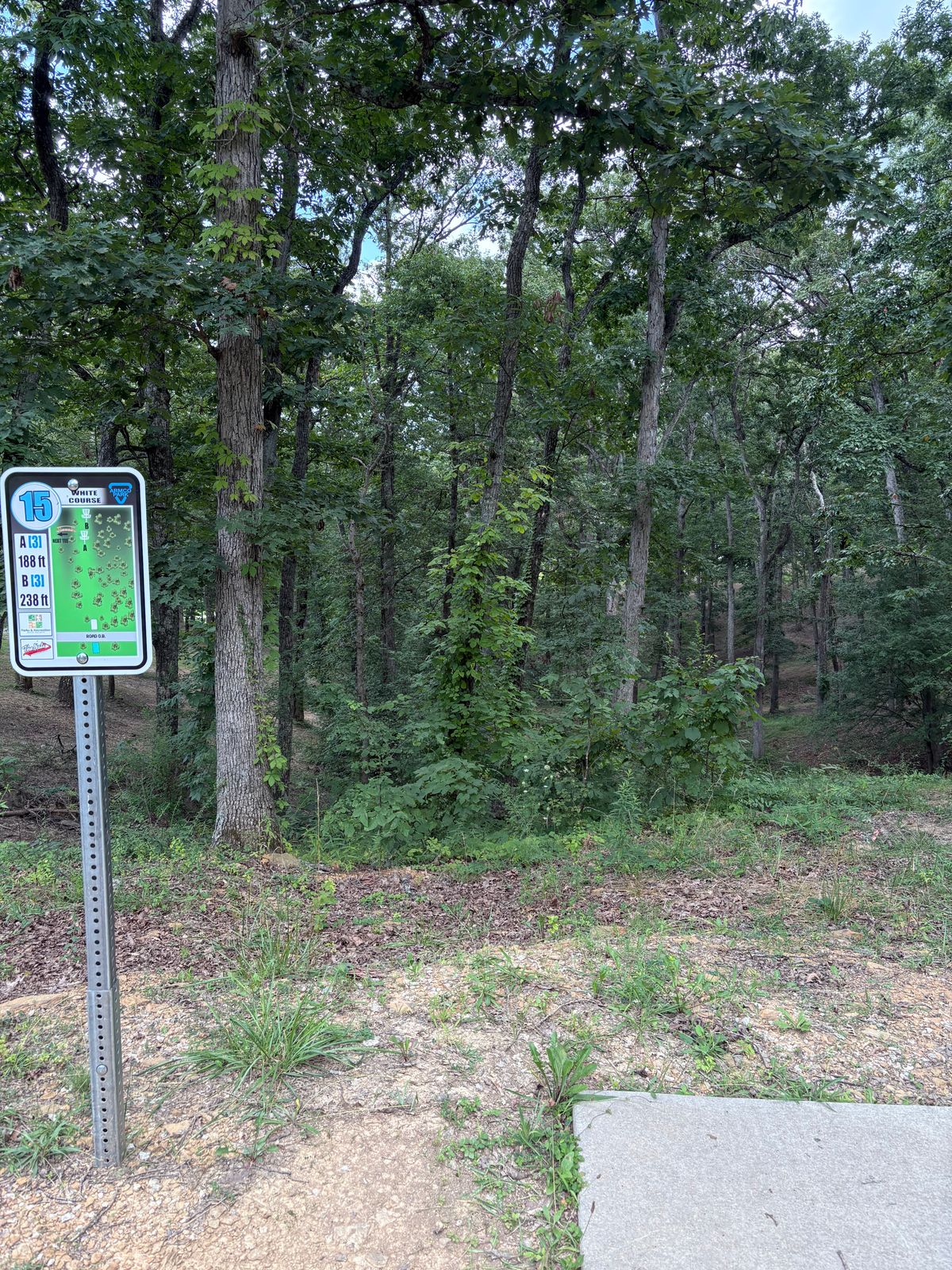 Hole 15 - White tee, White course