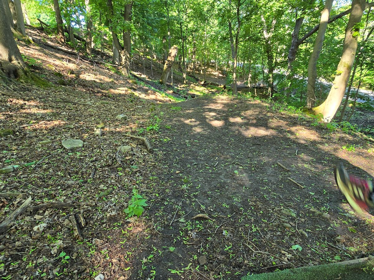 Hole 7