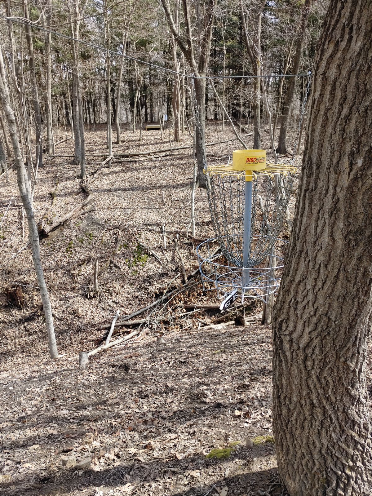 Hole 11 Basket