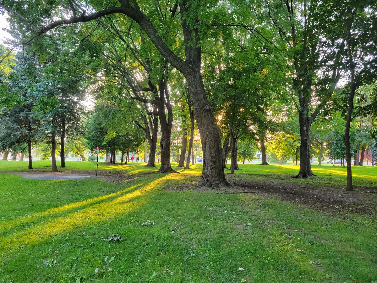 Au coucher du soleil