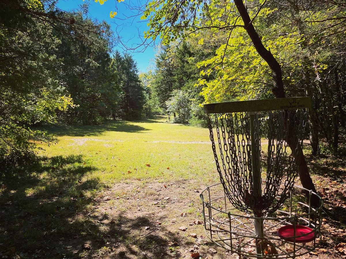 Basket to Tee