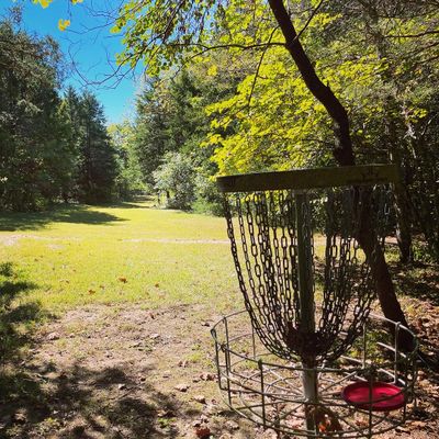 Basket to Tee