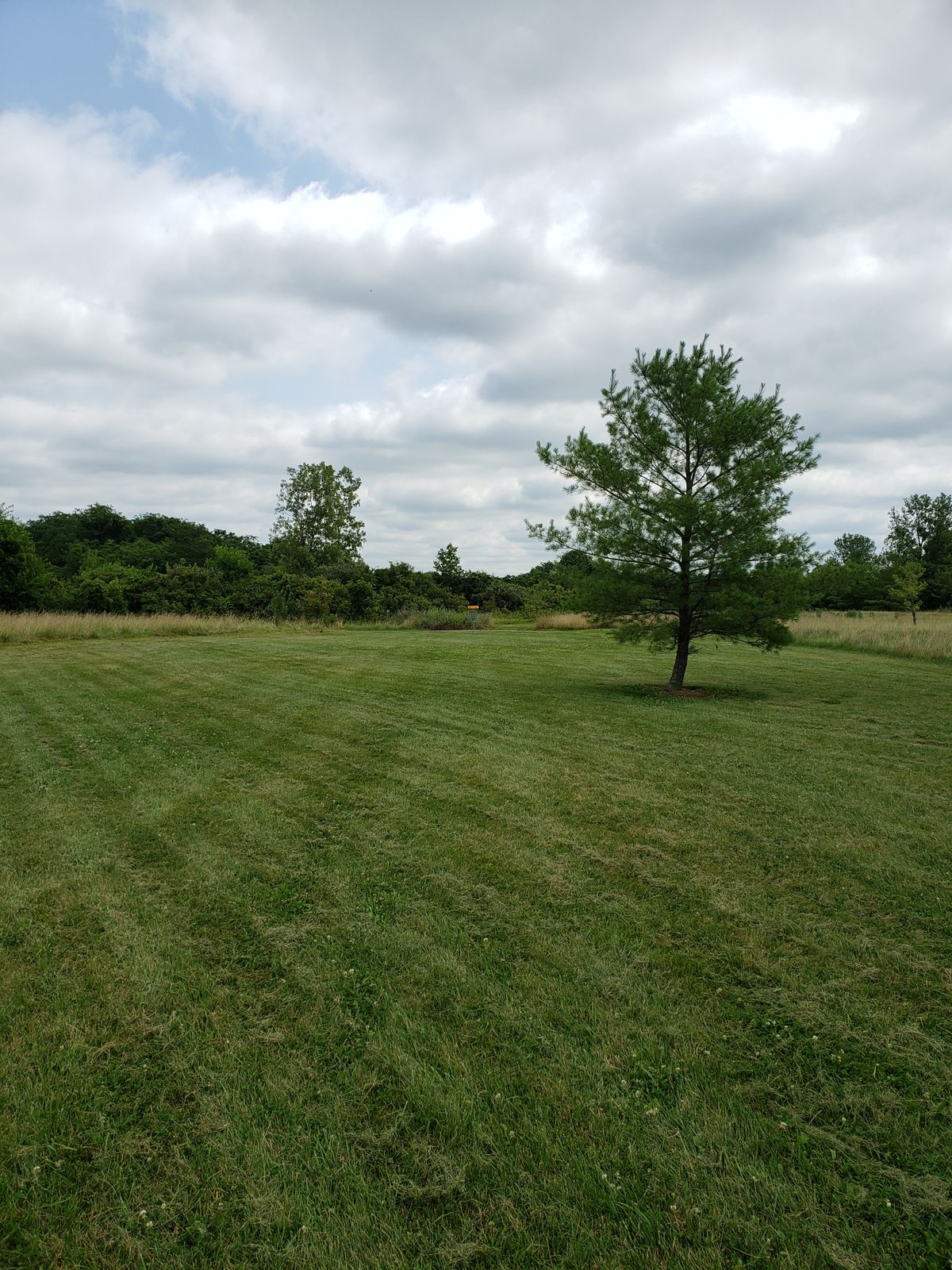 #11 Approach to Green.