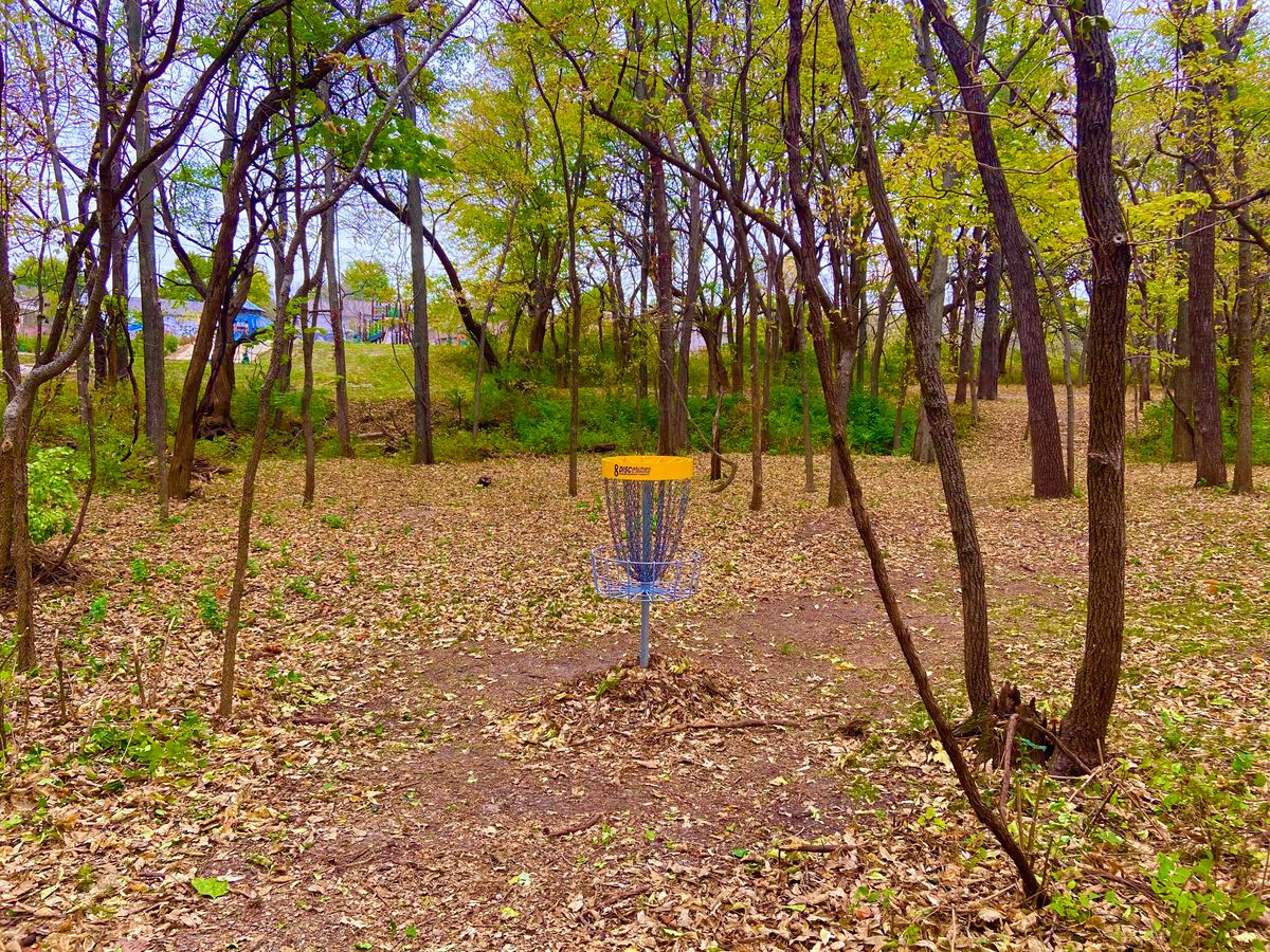 Hole 8 basket