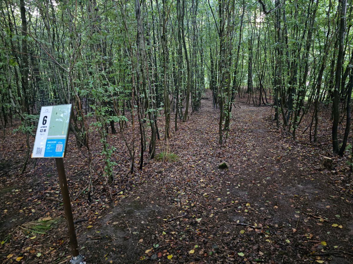 Tee 6