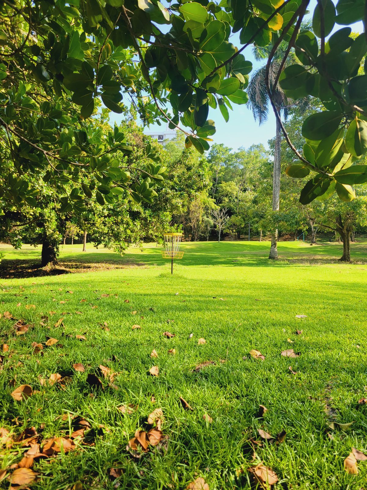 Parque Omar DG Course
Hole 5 Target