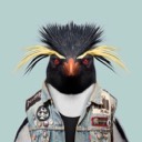 User avatar image