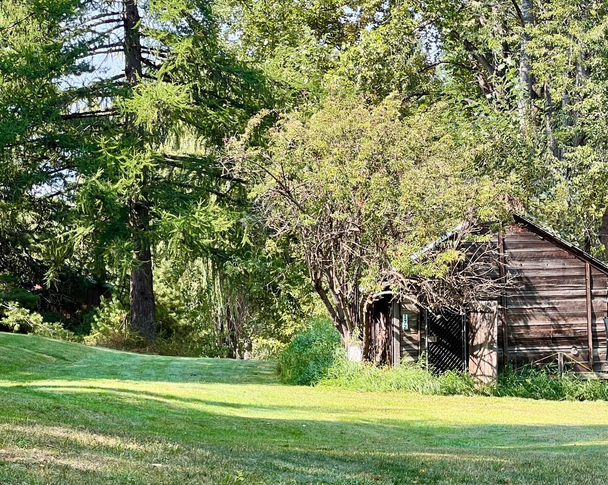 Hole 14