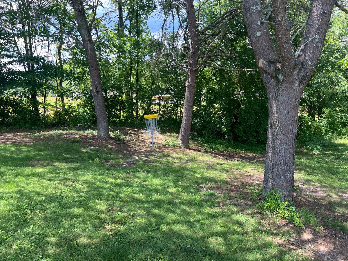 Hole #3 Basket