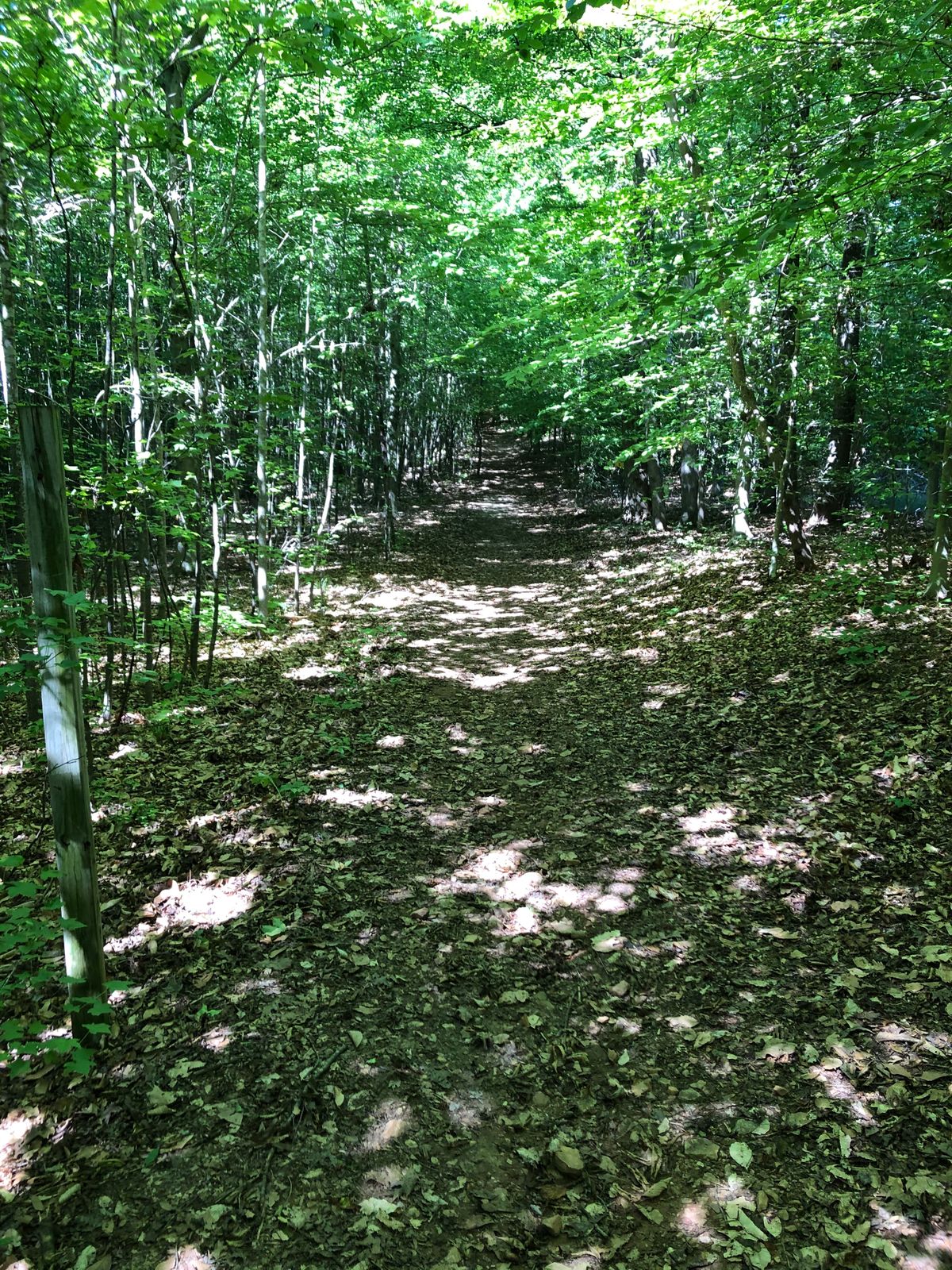 Second fairway