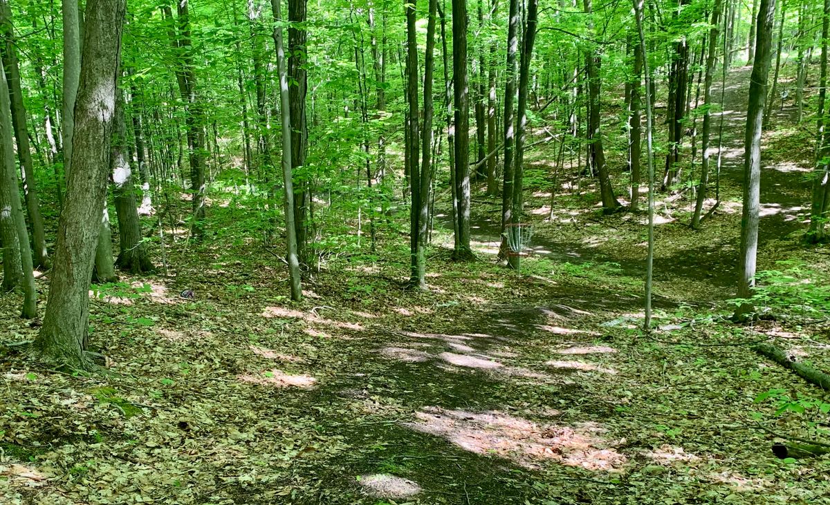 Hole 16