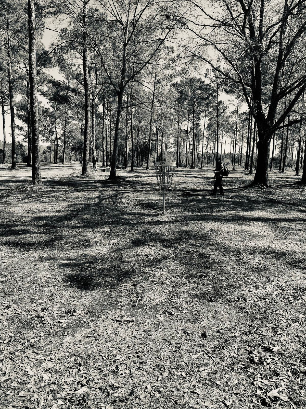 Hole 14 basket