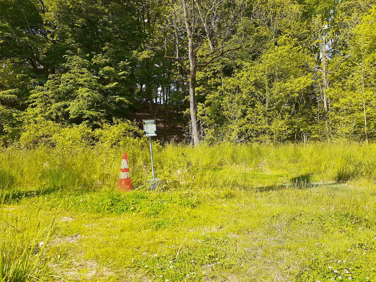 Hole 8 Tee
