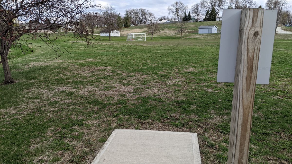 Tee #7