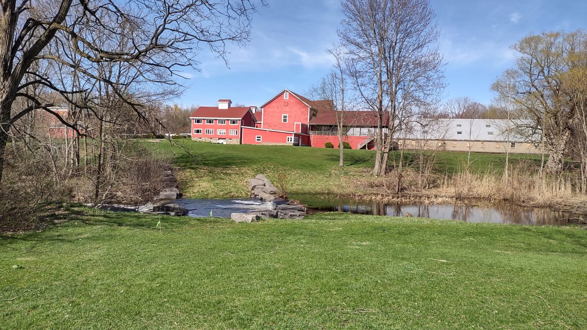 Teebox next to Rice Creek