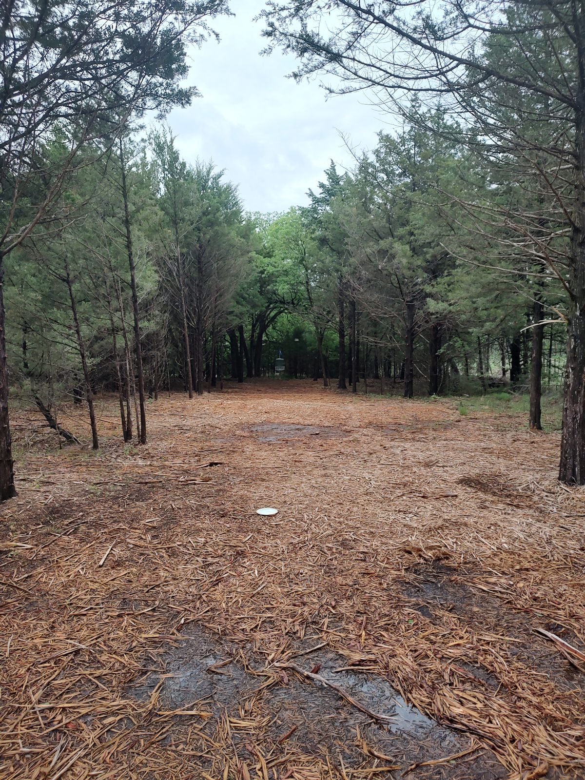 Around the bend! Hole 4 B basket.