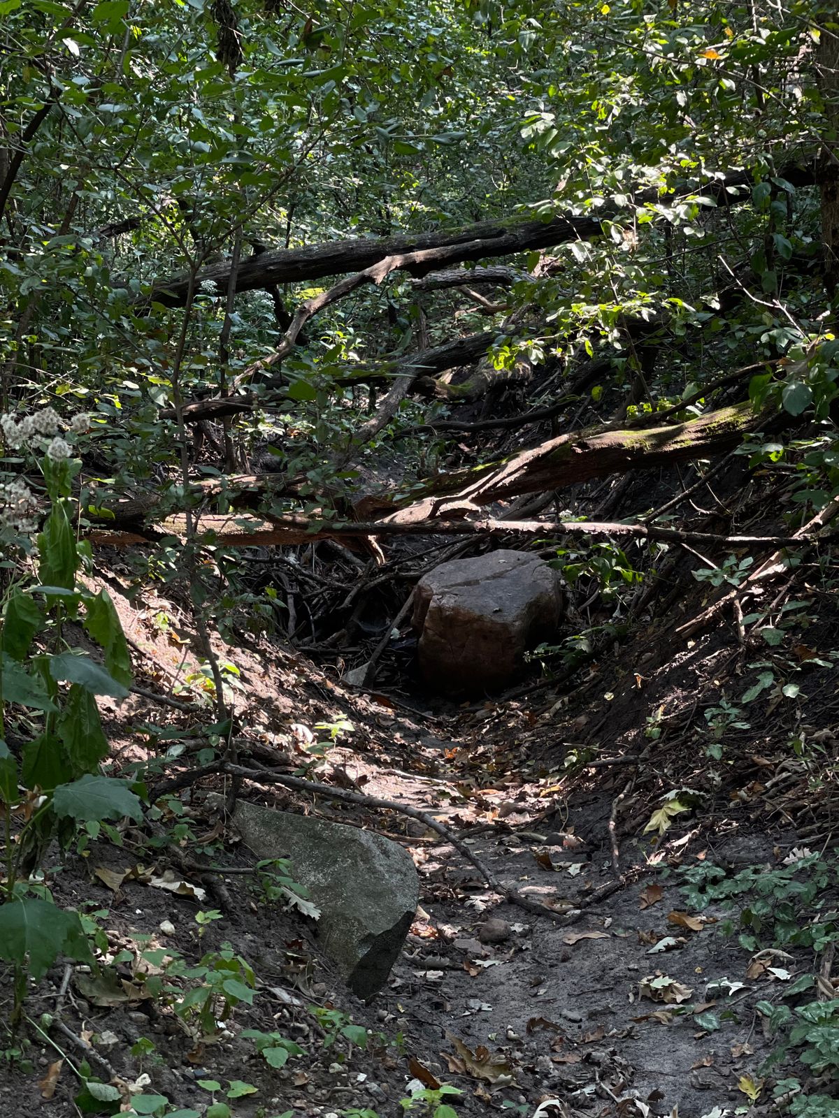 Hiking the trails Does you no good if you can’t Admire it. Stop and look around.