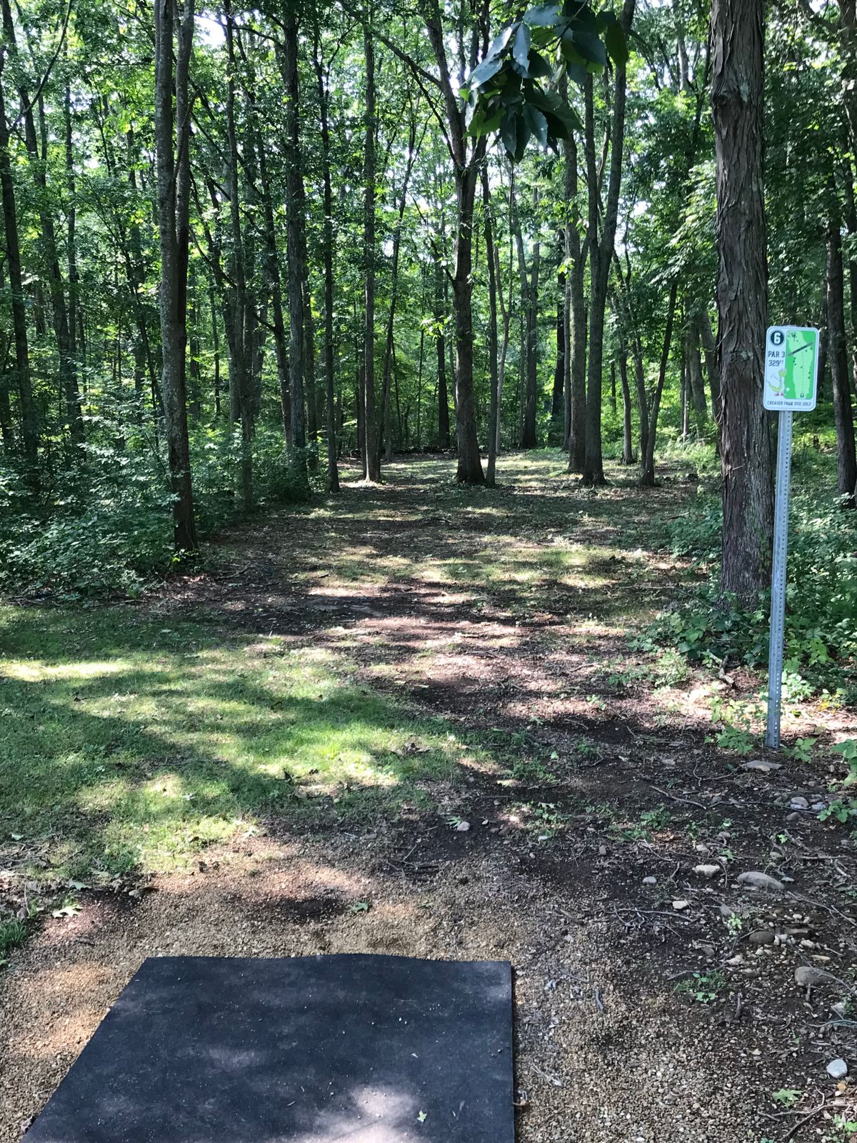Hole #6