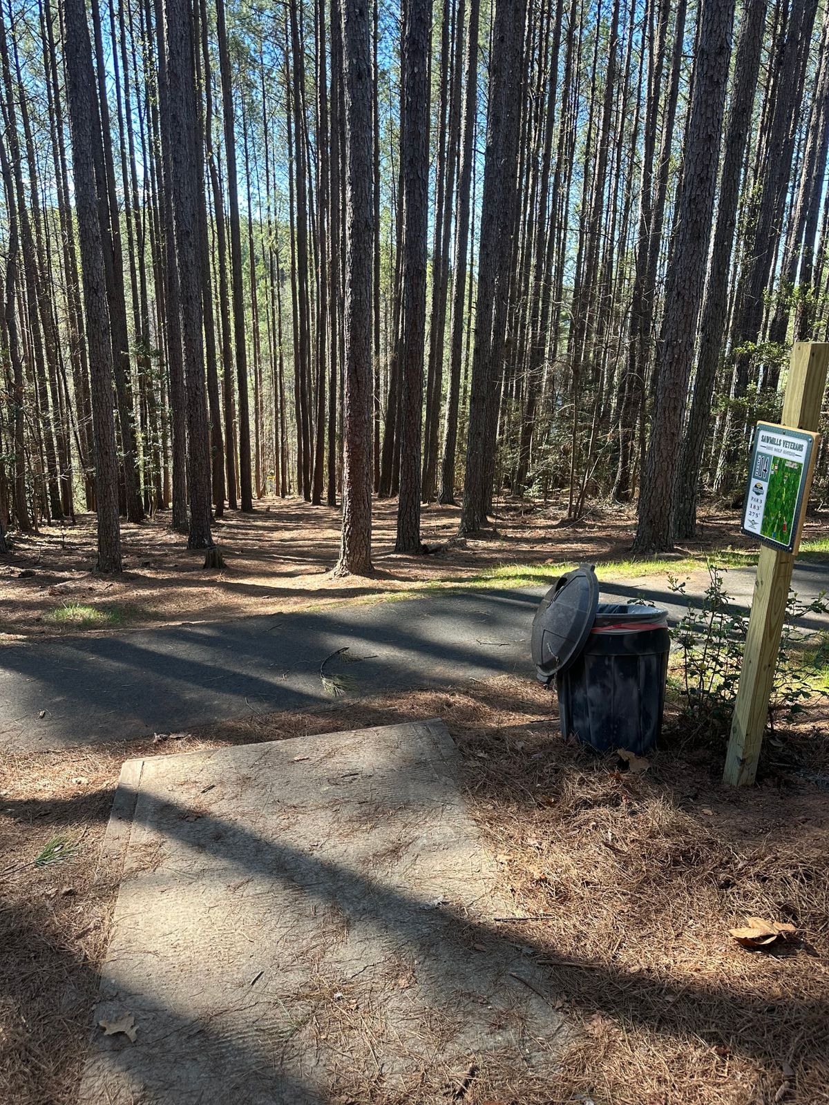 Hole 14 red tee pad