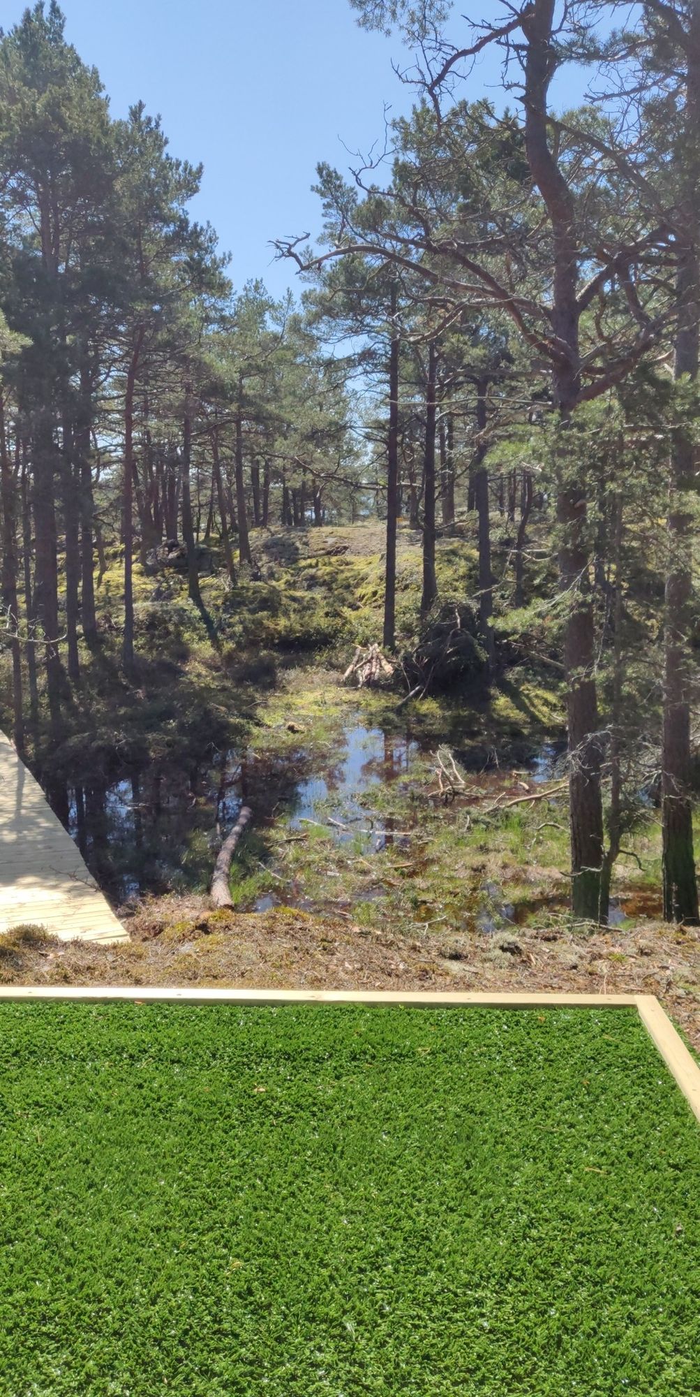 Hole 8