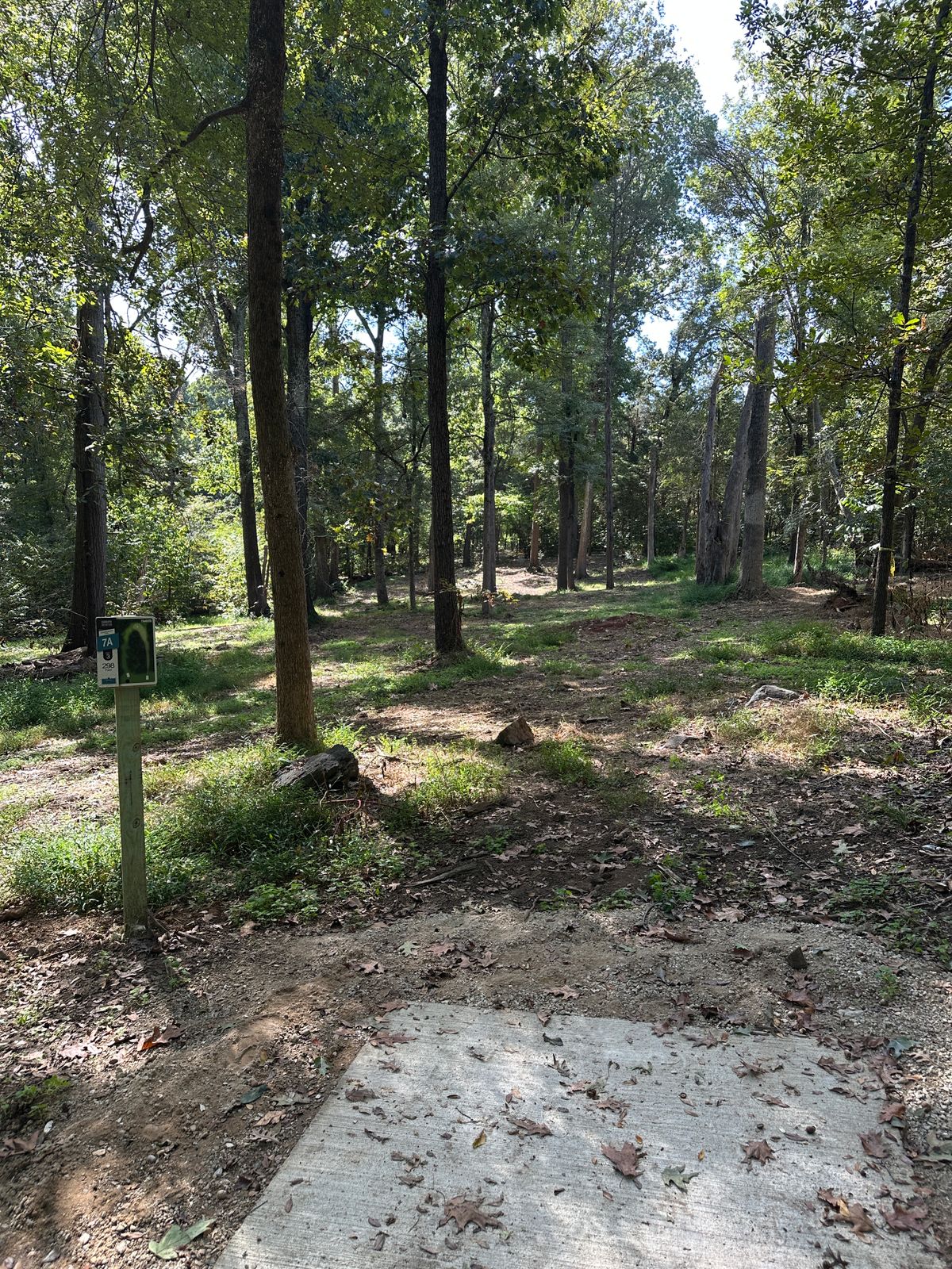 Hole 7 short tee.