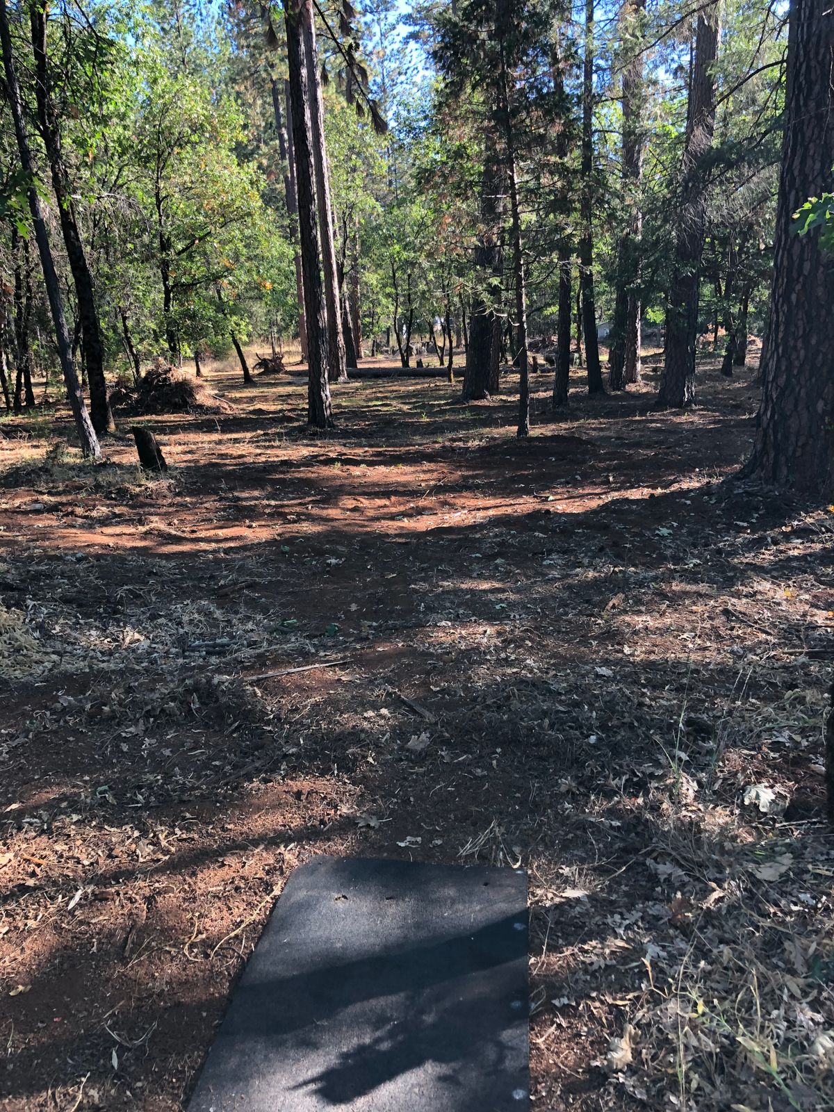 Tee 5