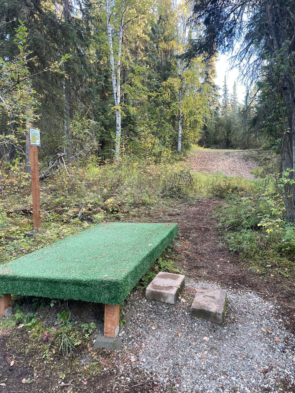 Hole 11 Tee pad
