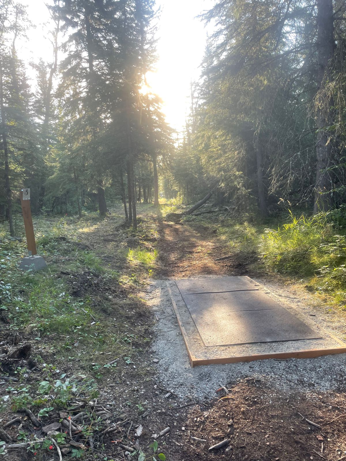 Hole 3 Tee Pad