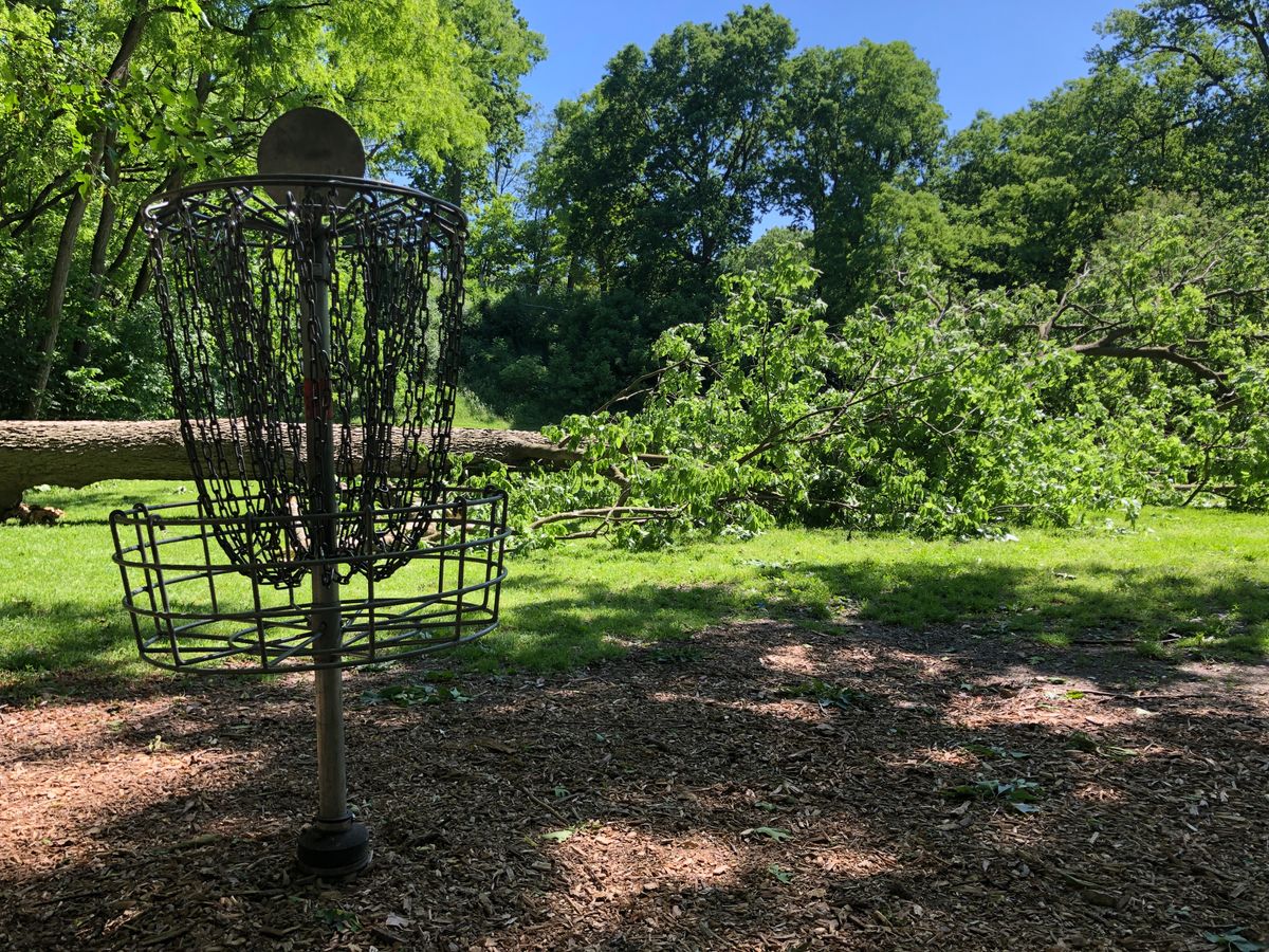 Tree down on 16.