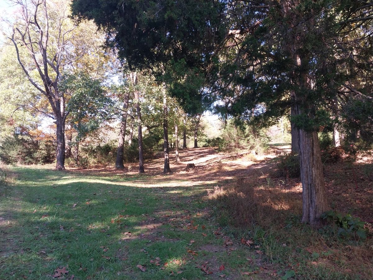 4 fairway
