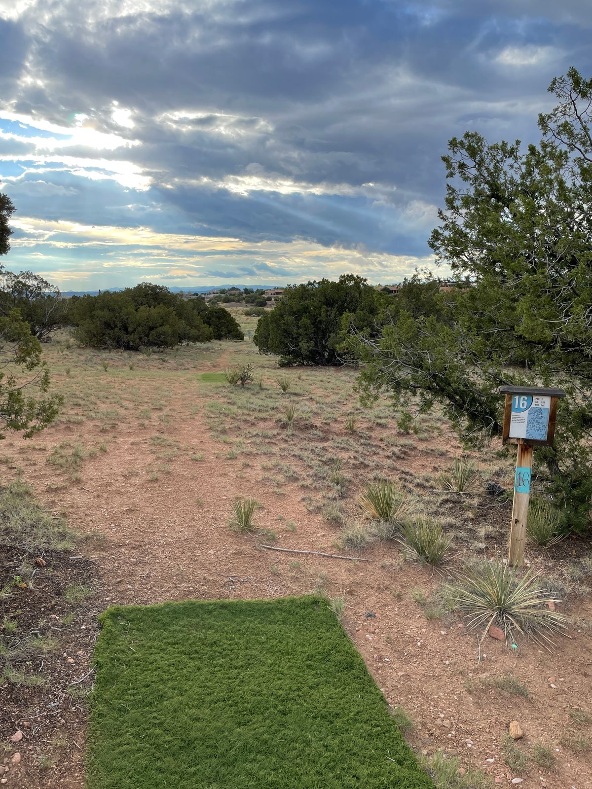 Hole 16 Pro tee pad
